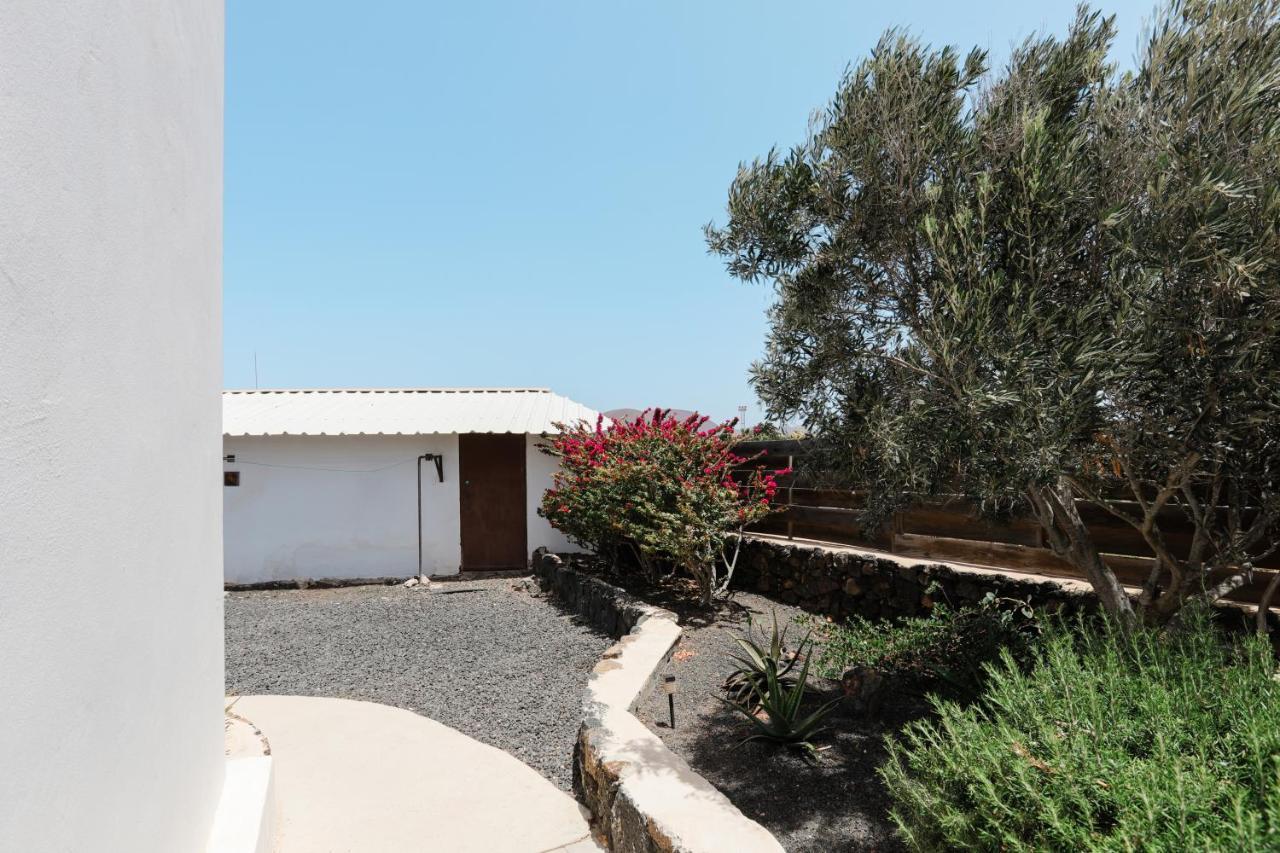 نزل لاجاريسفي Creative Harbour Fuerteventura المظهر الخارجي الصورة